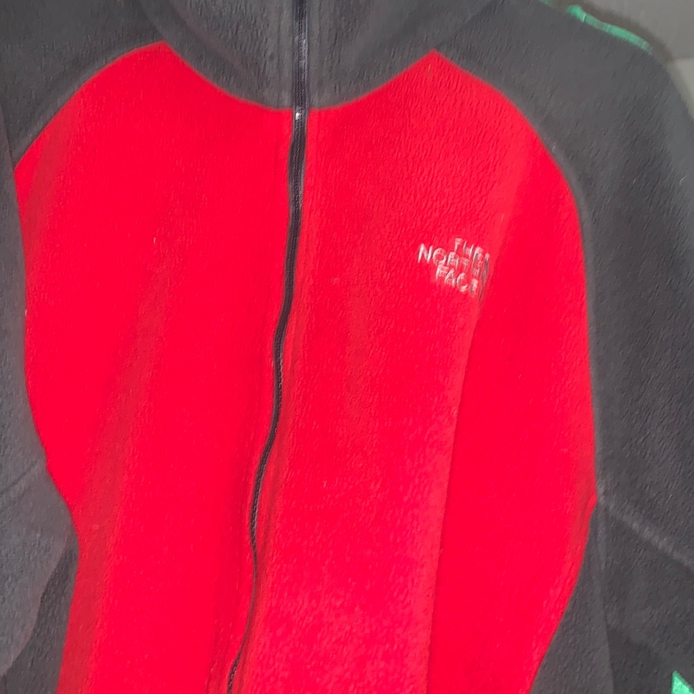 Mens North Face
